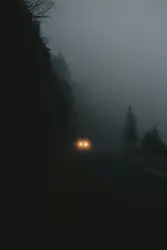 Vehicle on road during nighttime