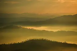 Sunrise on a fog day