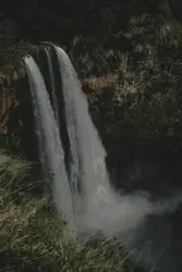 Waterfalls near trees