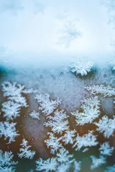 Close up photography of snowflakes