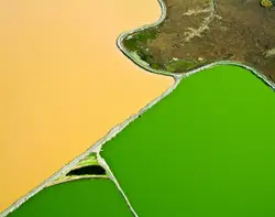 An aerial view of a river with green water