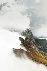 Moody Seceda!