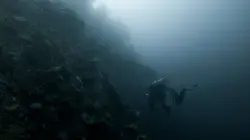 Person Standing On A Rock With A Camera