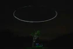 Green leafed tree