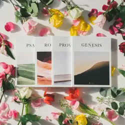 Books of the Bible with multi colored flowers and petal