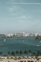 Bird's eye photography of city near body of water
