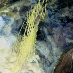 What look like pale yellow paint streaks slashing throu