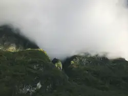 Mist On Green Mountains