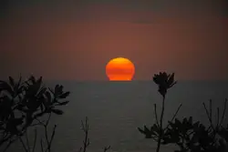 Thick smoke from the East Coast bushfires in Australia 