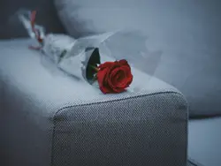 This rose was gift for my girlfriend