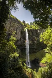 A large waterfall in the middle of a forest