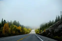 Park Drives in Autumn