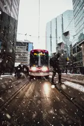 Red and purple train on city street during daytime