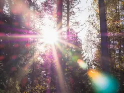Lens flare