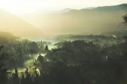 Sun rays through the fog