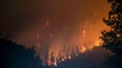 Burning Forrest
