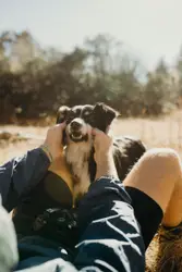 Person holding dog near trees during daytime