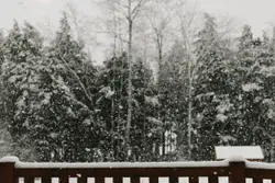 Balcony with trees outside covered with snow