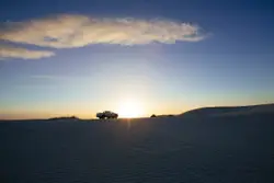 Silhouettes In Desert