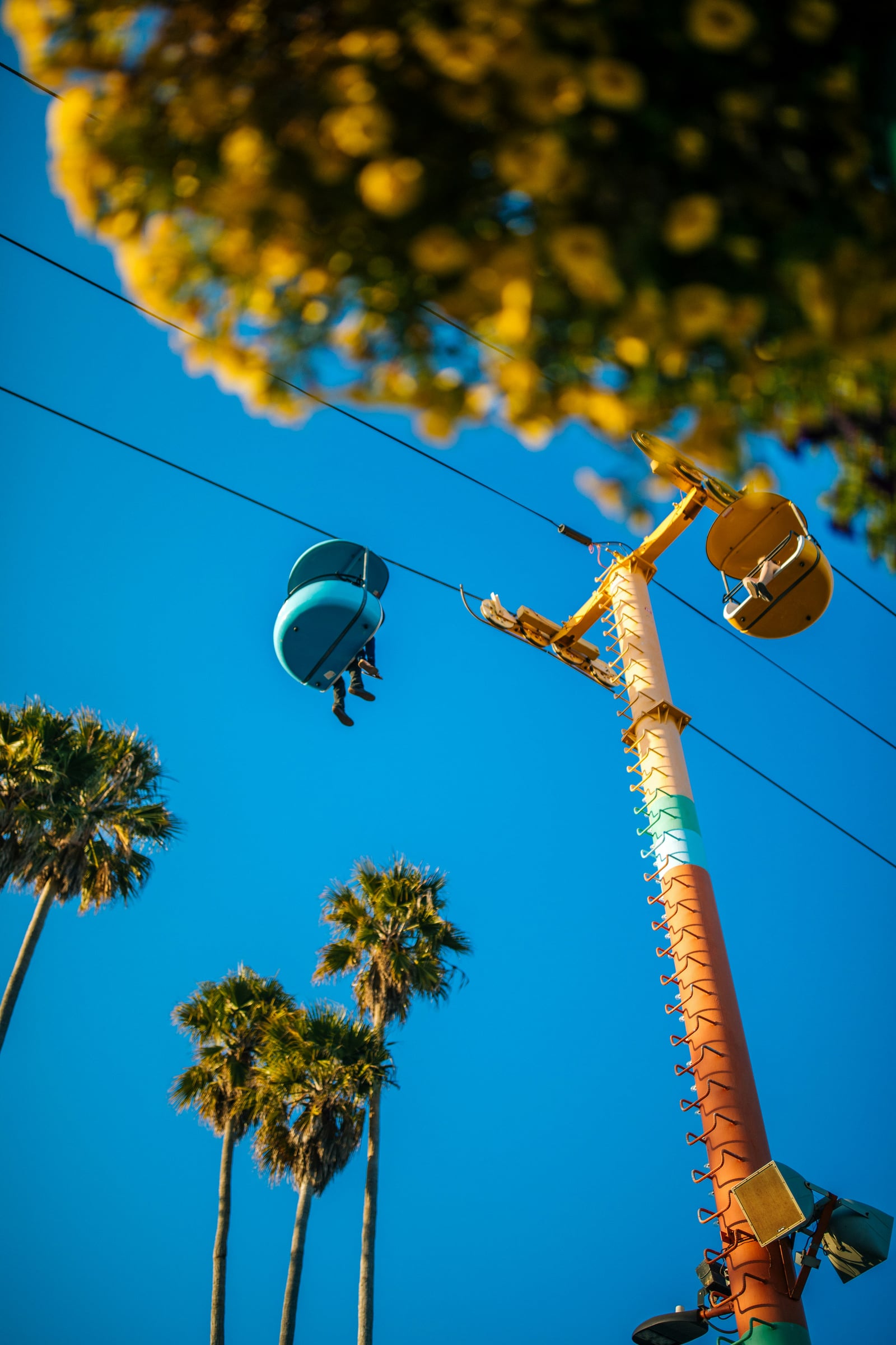 Large Kite Is Flying Over A Tree