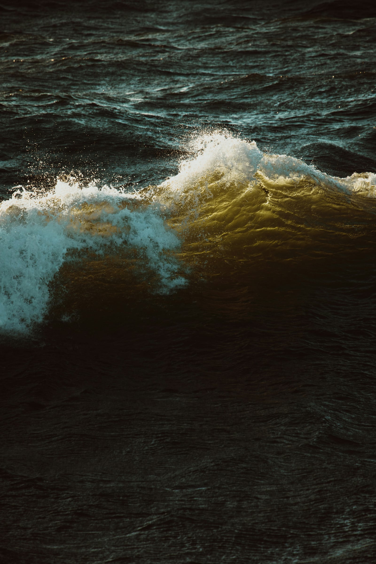 Person Riding A Wave On Top Of A Surfboard