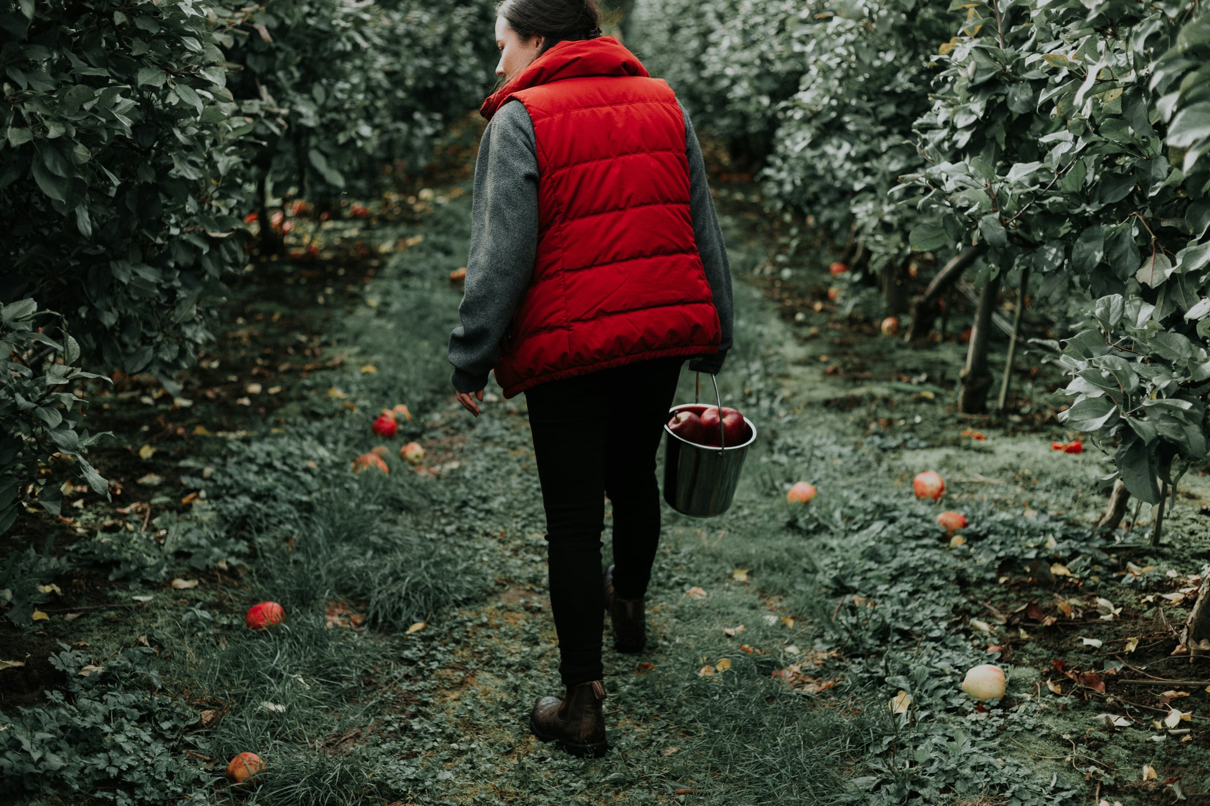 Woman Walking Through A Forest With A Red Umbrella