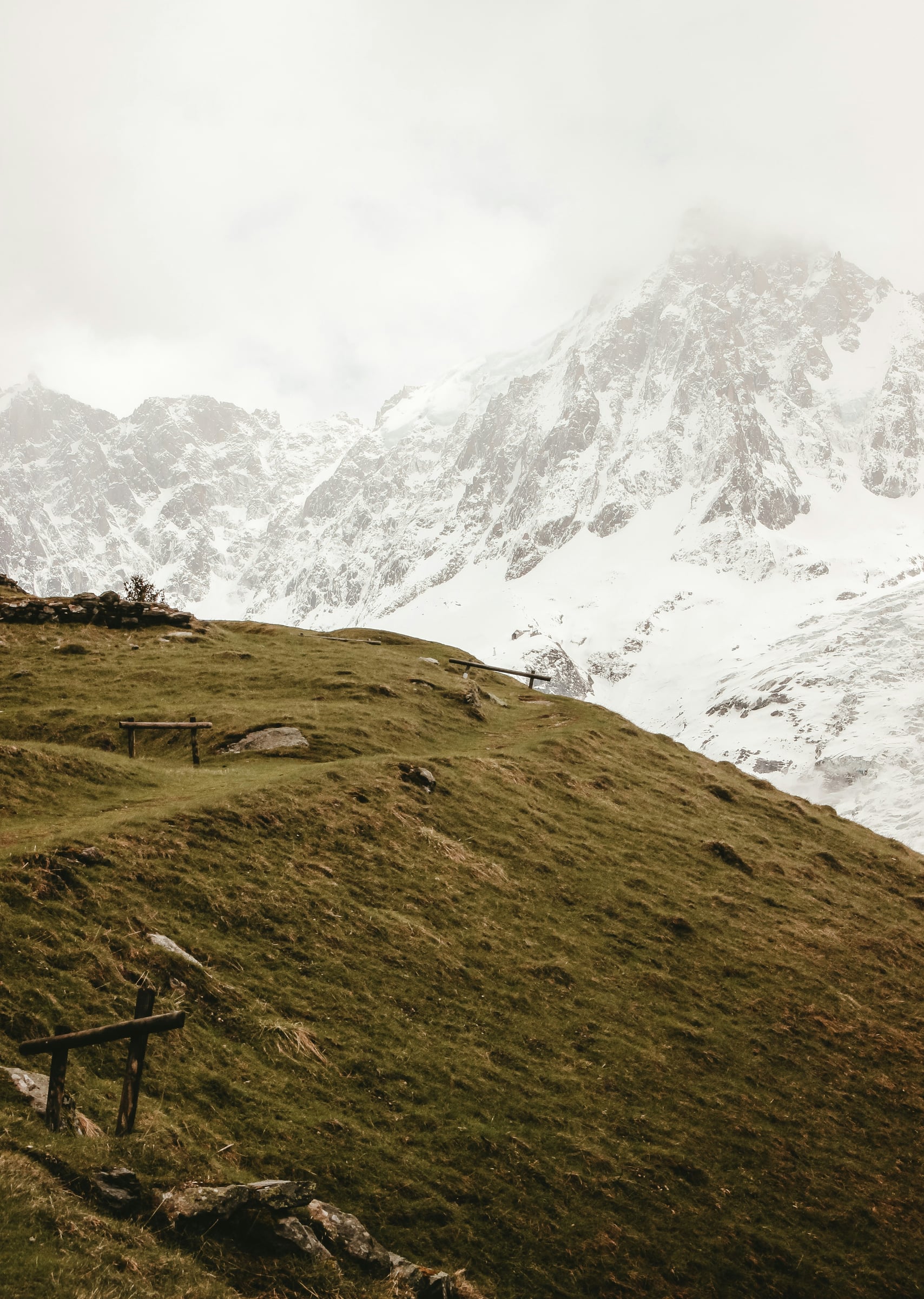 Lone Sheep Stands On A Hill In The Wilderness