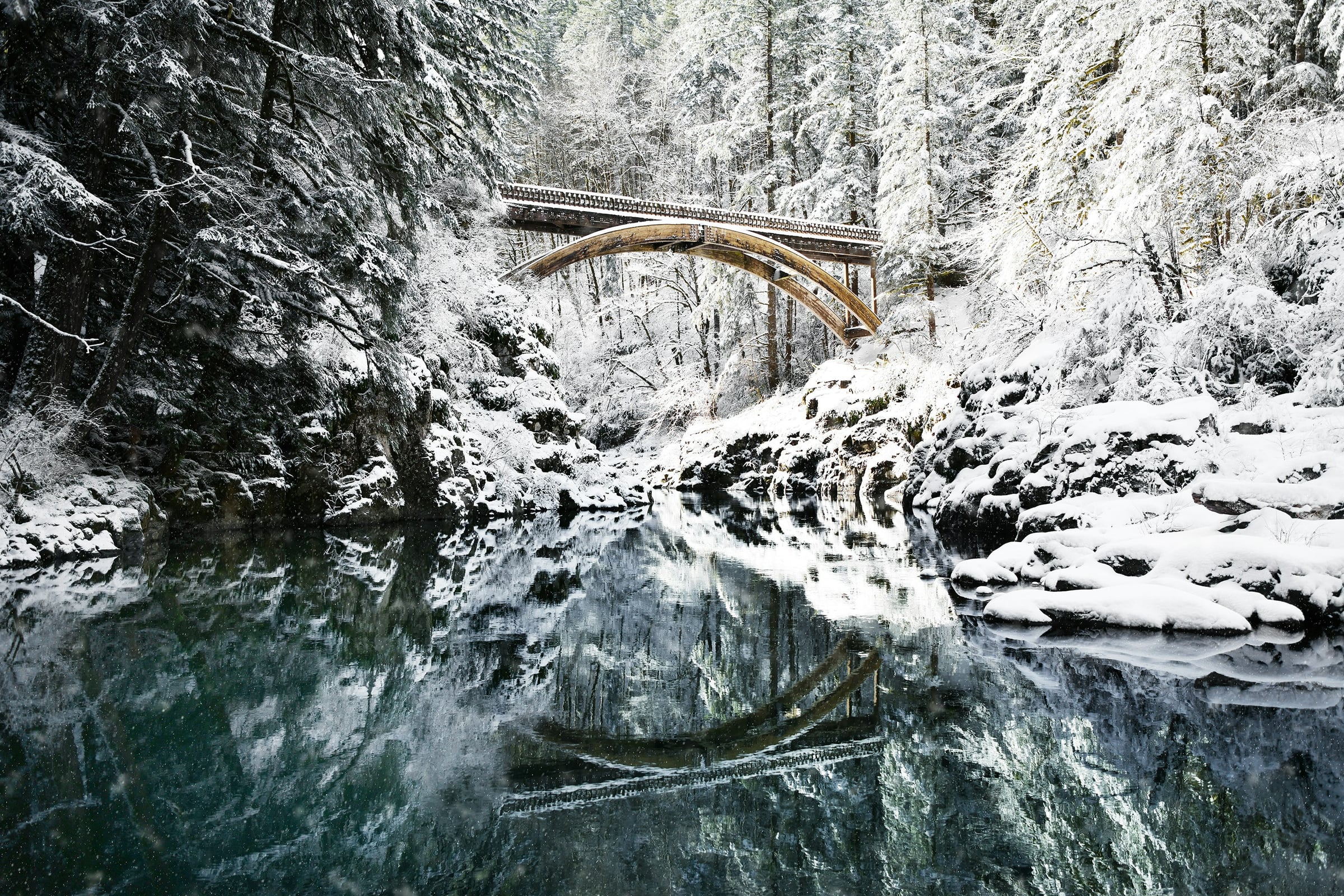 Train Is Going Through A Snowy Area