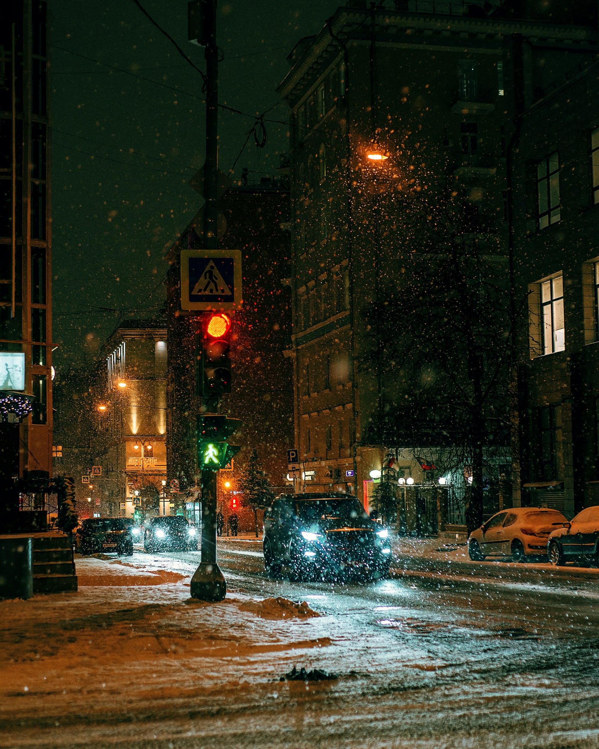 Street Scene With A Red Stop Light And A Street Light
